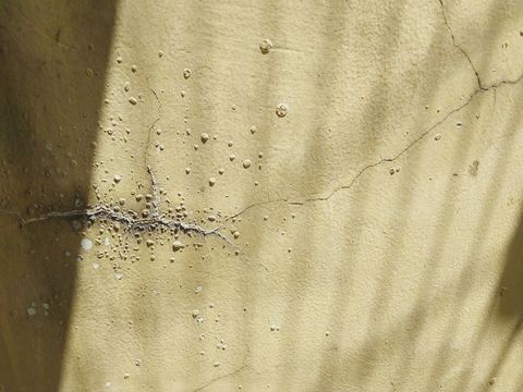 Что закон понимает под скрытым дефектом новостройки
